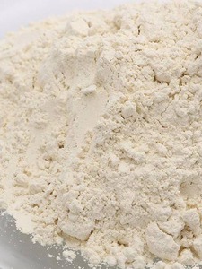 SPBIO牛血清白蛋白