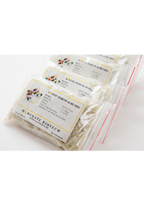Moregate牛血清白蛋白(BSA)